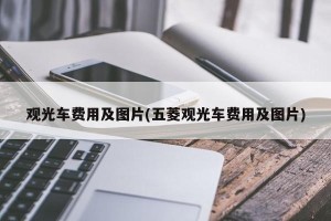 观光车费用及图片(五菱观光车费用及图片)