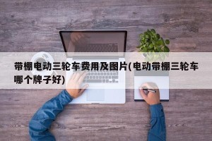 带棚电动三轮车费用及图片(电动带棚三轮车哪个牌子好)