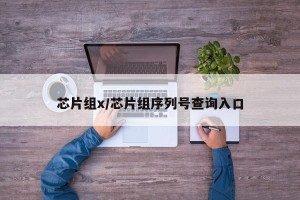 芯片组x/芯片组序列号查询入口
