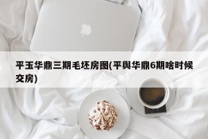 平玉华鼎三期毛坯房图(平舆华鼎6期啥时候交房)