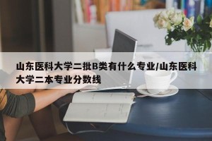山东医科大学二批B类有什么专业/山东医科大学二本专业分数线